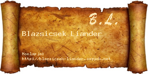 Blazsicsek Liander névjegykártya